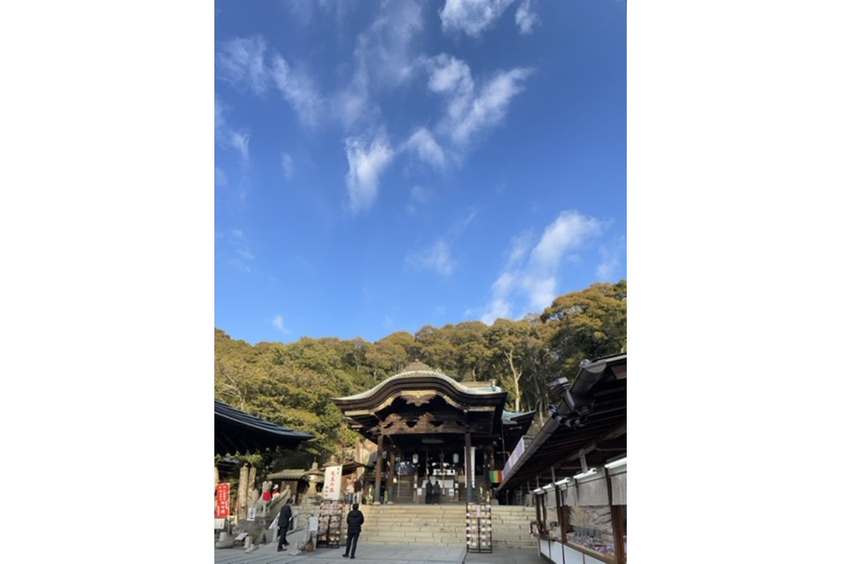 今年もスタートいたしました