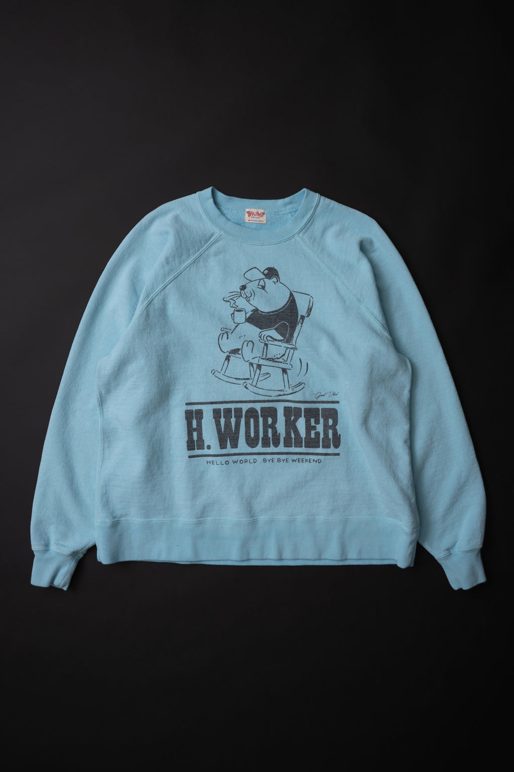 MTE008(07) [BEAVER] RAGLAN SLEEVES SWEAT | SAX BLUE