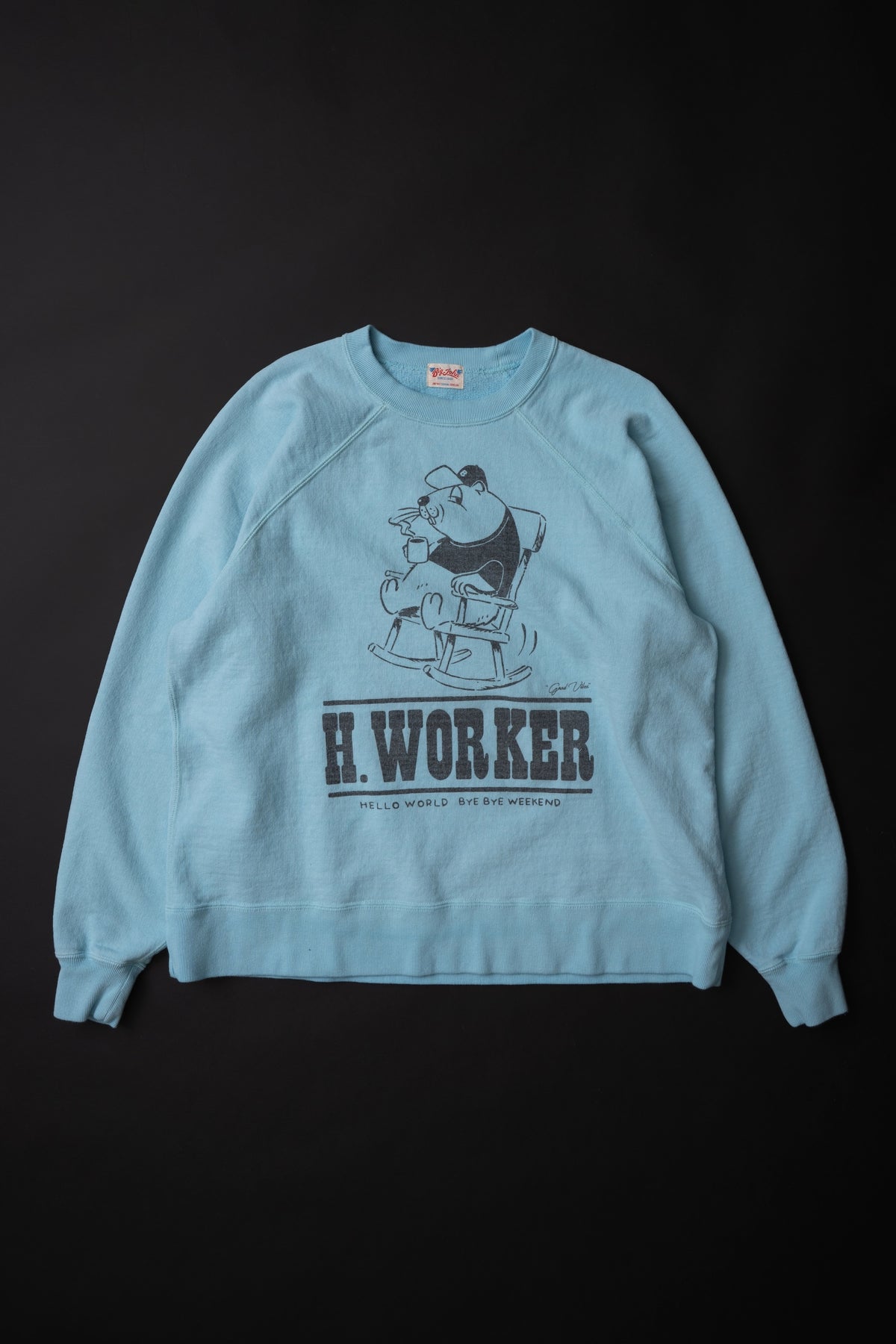 MTE008(07) [BEAVER] RAGLAN SLEEVES SWEAT | SAX BLUE