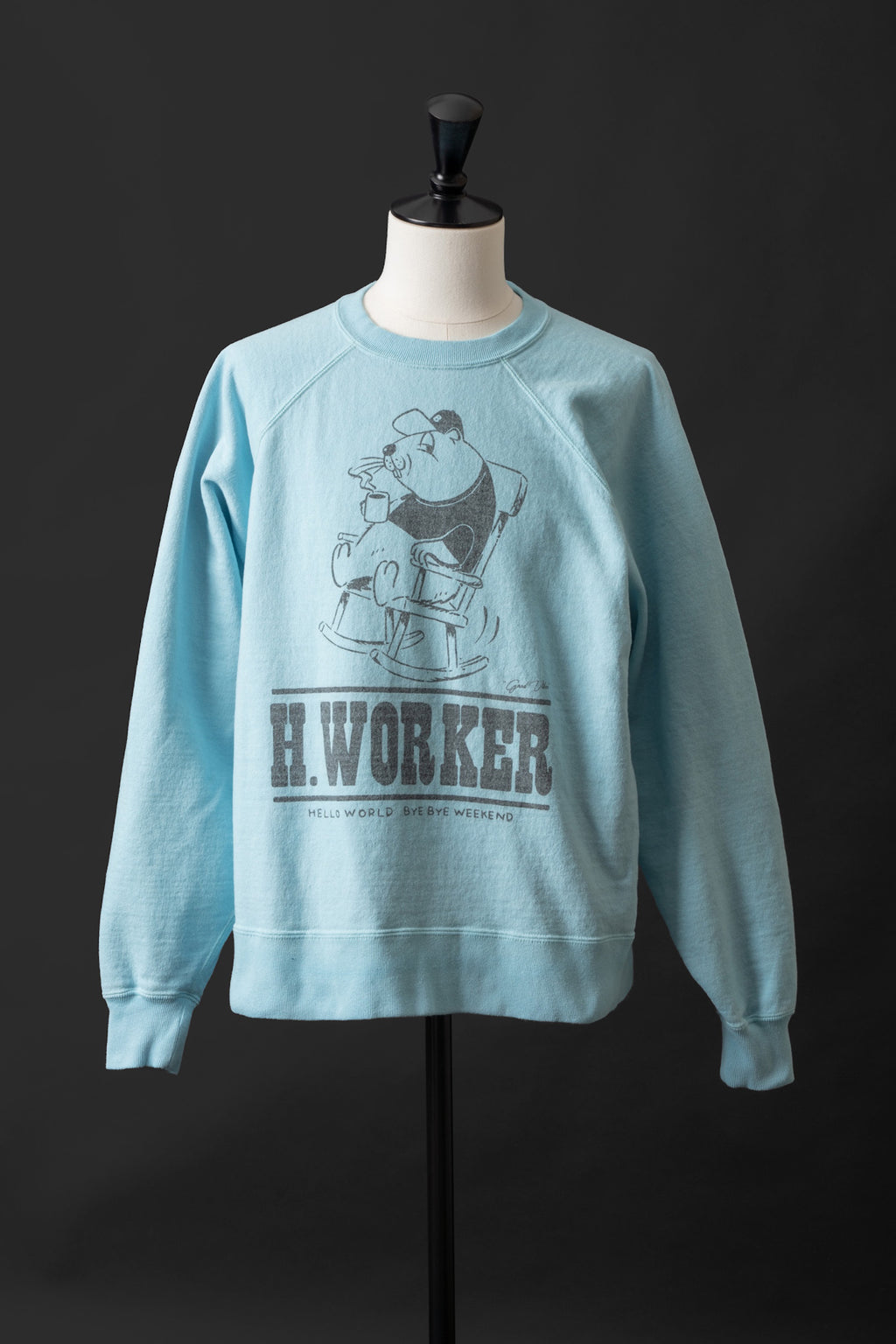 MTE008(07) [BEAVER] RAGLAN SLEEVES SWEAT | SAX BLUE